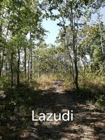 Commercial property in Mae Taeng, Thailand No. 25132 - Image 5