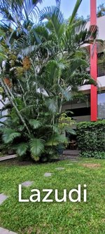 4 bedrooms Duplex in Hua Hin, Thailand No. 25538 - Image 9