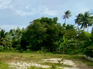 Commercial property in Ko Samui, Thailand No. 25625