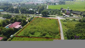 Land in San Pa Tong, Thailand No. 5218