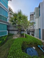 Studio in the Condo in Nai Yang, Thailand No. 8434 - Image 23