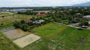 Land in San Sai, Thailand No. 8990