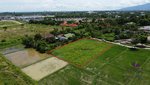 Land in San Sai, Thailand No. 8990 - land in Thailand
