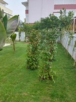 250m² Villa in Alanya, Turkey No. 27489 - Image 12