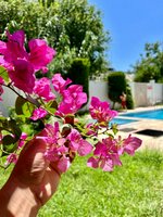 Apartment 2+1 in Konyaalti, Turkey No. 27600 - Image 4