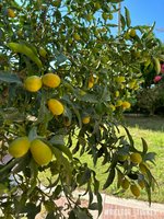 Apartment 2+1 in Side, Turkey No. 27997 - Image 9