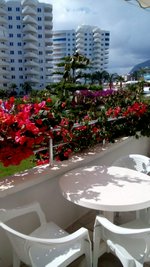 2 rooms Apartment in Mahmutlar, Turkey No. 30123 - Image 16