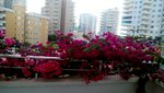2 rooms Apartment in Mahmutlar, Turkey No. 30123 - Image 18