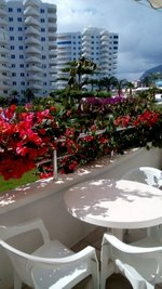 2 rooms Apartment in Mahmutlar, Turkey No. 30236 - Image 6