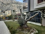 Apartment 1+1 in Antalya, Turkey No. 32629 - Image 18