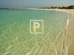 1393.4m² Land in Dubai, UAE No. 10451 - Image 15