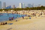 2307.1m² Land in Dubai, UAE No. 10452 - Image 10
