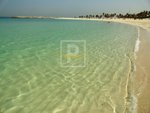 2307.1m² Land in Dubai, UAE No. 10452 - Image 13