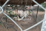 18580.5m² Land in Ras Al Khaimah, UAE No. 12234 - Image 4