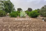 18580.5m² Land in Ras Al Khaimah, UAE No. 12234 - Image 12