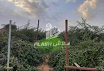 18580.5m² Land in Ras Al Khaimah, UAE No. 12234 - Image 13