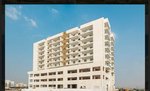2 bedrooms Apartment in Al Warsan, UAE No. 12302 - Image 9
