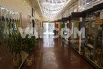 42 bedrooms Apartment in Deira, UAE No. 12821 - Image 5