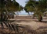 333m² Land in Abu Dhabi, UAE No. 1318 - Image 6