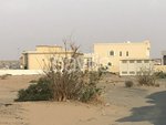 1049.8m² Land in Al Tai, UAE No. 1361 - Image 3