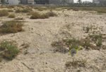 2564.10m² Land in Jumeirah Village Circle, UAE No. 1435 - Image 4