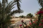929m² Land in Al Heerah, UAE No. 1453 - Image 2