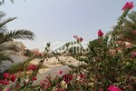 929m² Land in Al Heerah, UAE No. 1453 - Image 4