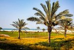 4 bedrooms Villa in Saadiyat Island, UAE No. 1469 - Image 7