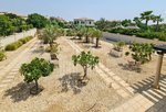 5 bedrooms Villa in Saadiyat Island, UAE No. 1474 - Image 8