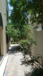 5 bedrooms Villa in Jumeirah Park, UAE No. 1631 - Image 9