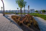 2 bedrooms Townhouse in Al Ghadeer, UAE No. 1635 - Image 11