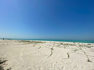 7 bedrooms Villa in Saadiyat Island, UAE No. 1674