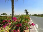 1717.4m² Land in Palm Jebel Ali, UAE No. 18957 - Image 2