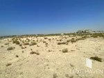 1717.4m² Land in Palm Jebel Ali, UAE No. 18957 - Image 5