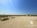 1717.4m² Land in Palm Jebel Ali, UAE No. 18957 - Image 10