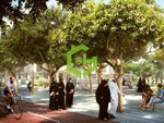 3 bedrooms Apartment in Town Square, UAE No. 19142 - Image 8