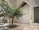 4 bedrooms Townhouse in Dubai Land, UAE No. 20616 - Image 4