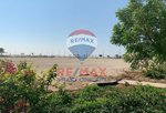 1767m² Land in Nareel Island, UAE No. 21927 - Image 3