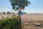 1767m² Land in Nareel Island, UAE No. 21927 - Image 4