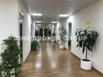 15793.4m² Warehouse in Technology Park, UAE No. 240 - Image 4