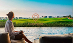 5 bedrooms Townhouse in Dubai, UAE No. 24342 - Image 11