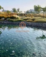 4 bedrooms Villa in Dubai, UAE No. 24703 - Image 10