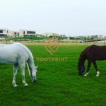 4 bedrooms Villa in Dubai, UAE No. 24703 - Image 11