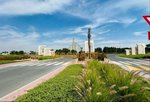 899.9m² Land in Jebel Ali, UAE No. 24960 - Image 9