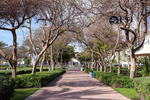 1394.9m² Land in Al Satwa, UAE No. 25684 - Image 6