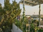 84865.9m² Land in Al Bateen, UAE No. 25774 - Image 8