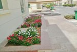 7824m² Building in Khalifa City, UAE No. 26405 - Image 7