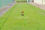 7824m² Building in Khalifa City, UAE No. 26405 - Image 9