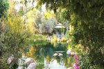 6 bedrooms Villa in Al Barari, UAE No. 28019 - Image 10