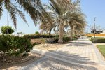 2250m² Land in Nareel Island, UAE No. 29778 - Image 10